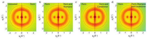 Split graphs comparing the effects of shampoo and conditioner on permanently waved hair.