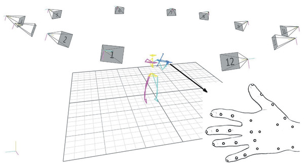 3-D motion capture set-up (12 high-speed cameras), subject reconstruction (biomechanical model), left-hand marker placement.