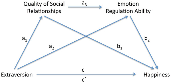 Illustration of the indirect effects model for serial mediation.