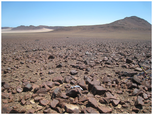 Study site in eastern Goboboseb Mountains, northwestern Namibia.