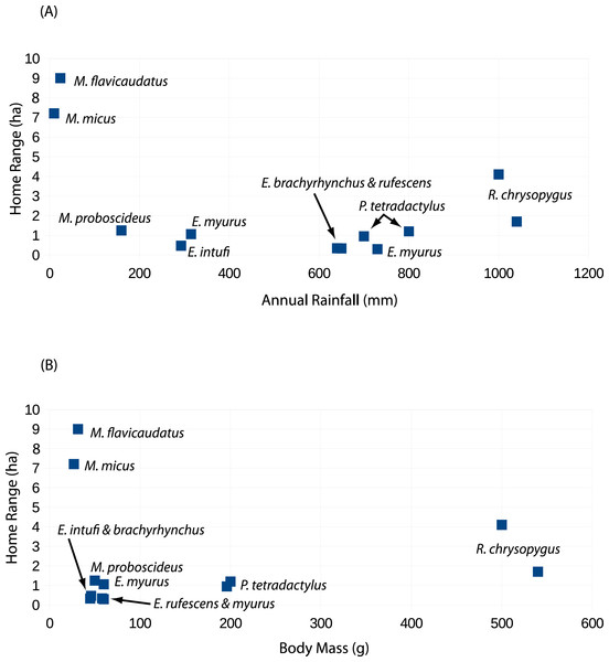 Scatter plots of sengi home range areas against study site rainfall (A) and sengi weights (B).