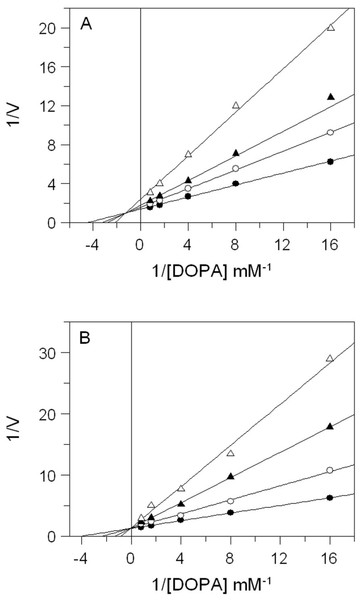 Inhibition of tyrosinase activity by E. characias leaves extracts.