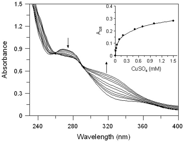 Effect of copper ions on E. characias ethanolic leaves extract.