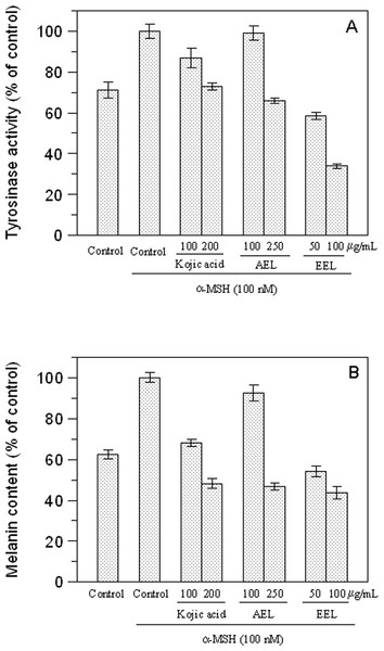 Effect of leaves extracts on B16F10 melanoma cells.