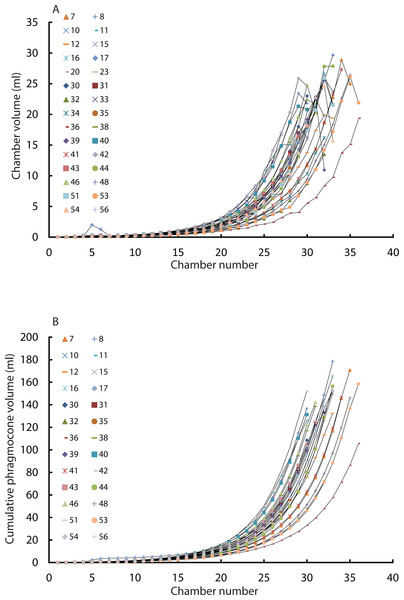 Chamber volumes plotted against chamber numbers in all examined Nautilus pompilius.