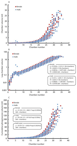 Comparison between males and females. Chamber volumes plotted against chamber numbers in Nautilus pompilius.