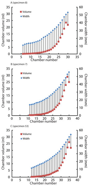 Volumes and widths of chambers plotted against chamber numbers in Nautilus pompilius.