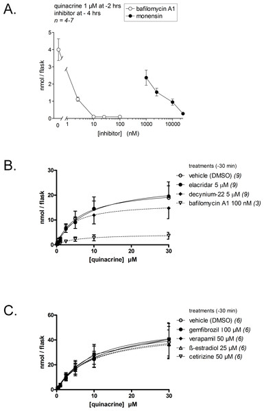 Effect of inhibitory drugs on quinacrine accumulation by dermal fibroblasts.