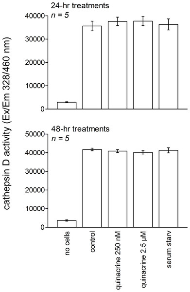 Cathepsin D activity in extracts of 106 mouse fibroblasts treated for 24 or 48 h as indicated.