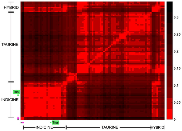 Heat map of pair-wise Fst.