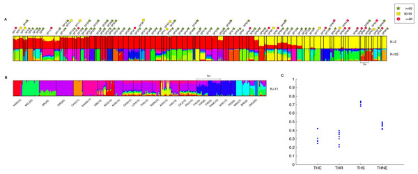 Combined result of ipPCA and ADMIXTURE analysis.