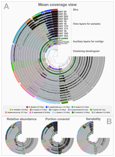 Static images from the anvi’o interactive display for the infant gut dataset with genome bins.