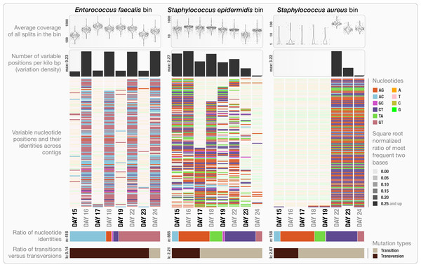 Variable nucleotide positions in contigs for three draft genome bins.