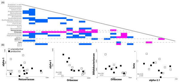 Correlated abundance profiles for Orbaceae and other bee specific groups.