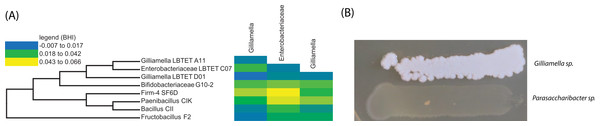 In vitro growth assays using bee specific microbes.