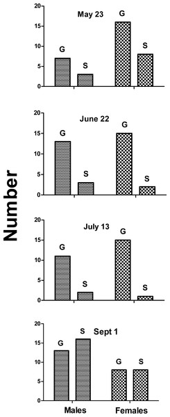 Number of males and females that grunted (G) or were silent (S) on indicated dates.