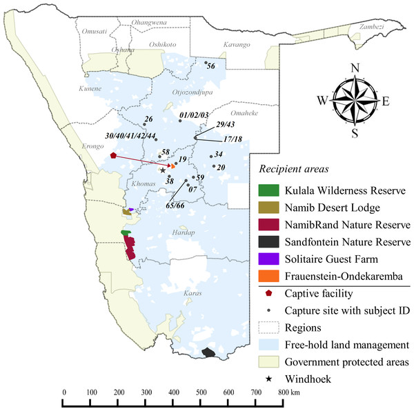 Cheetah capture sites and recipient areas in Namibia.