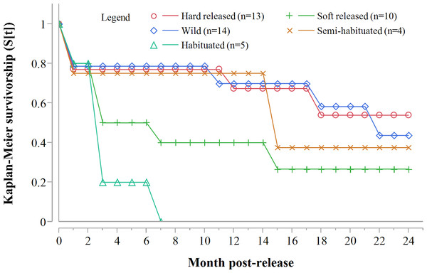 Progressive Kaplan-Meier survivorship estimates for translocated cheetahs by degree of habituation and release mode.