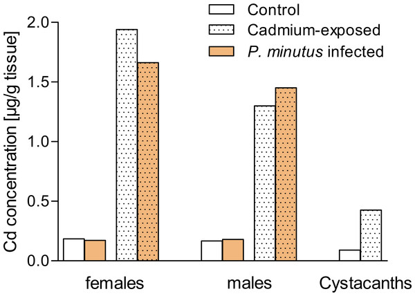 Cadmium concentrations in tissues.