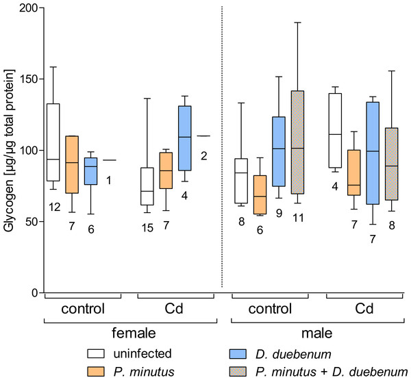 Glycogen content in infected and uninfected G. fossarum females and males after cadmium exposure.