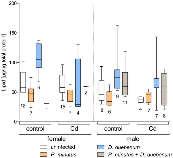 Lipid content in infected and uninfected G. fossarum females and males after cadmium exposure.