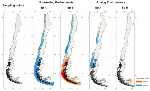 Sampling points and projections of the potential distribution of C. intestinalis sp A and sp B on Chilean coast.