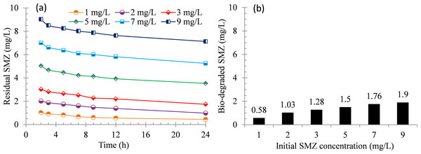 Biodegradation of SMZ by acclimatized activated sludge at different initial concentrations.