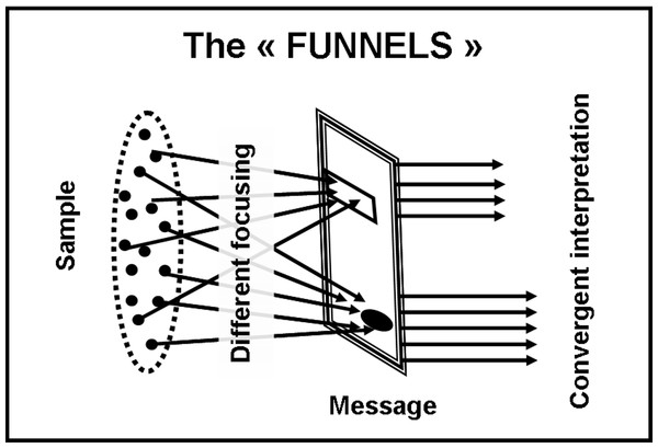 The “funnel-shape” model.