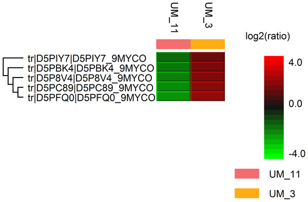 Hit map of differential protein profile of UM_3 and UM_11 generated by PEAKS Studio 7.0.