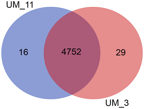 Venn diagram showing sharing of gene families between UM_3 and UM_11.