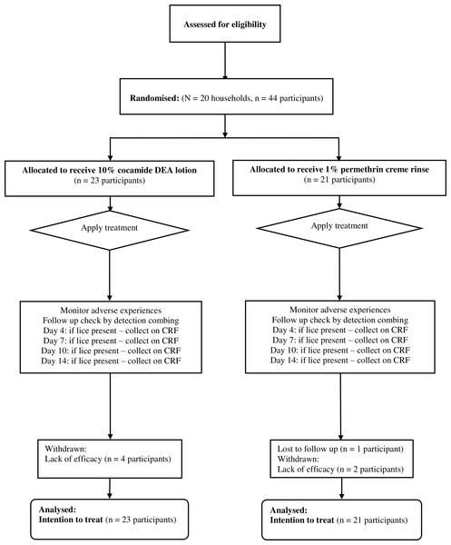 Flowchart of participants through the first clinical study.