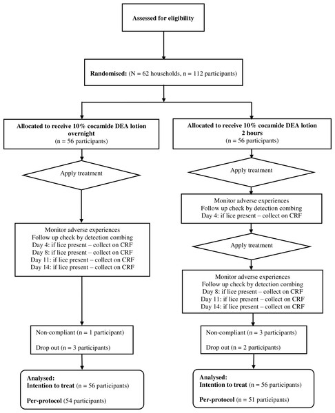 Flowchart of participants through the second clinical study.