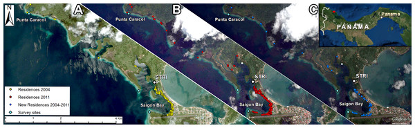 Map of Bocas del Toro region in Panama, where surveys were performed (Punta Caracol and Saigon Bay).
