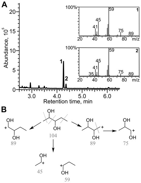 Analysis of the products of 2,3-pentanedione reduction by TpdE.