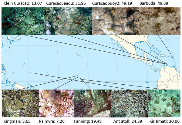 Map of sampling sites with representative images and NCEAS scores.