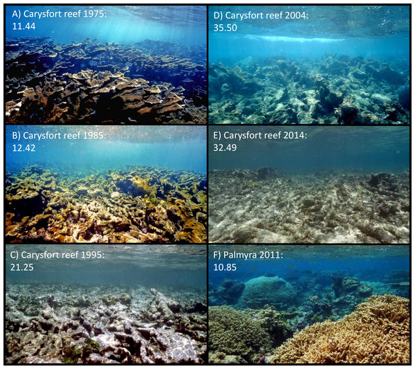 Aesthetic values of Carysfort reef.