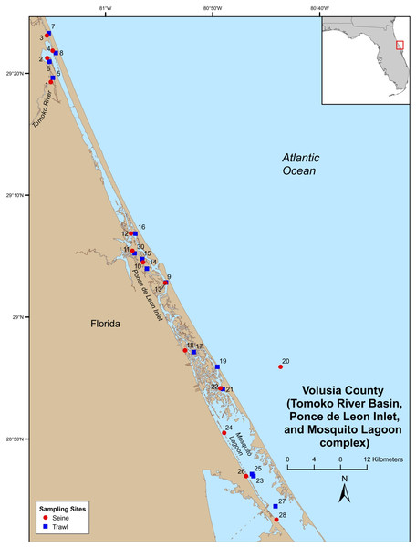 Map of Volusia County sampling stations.