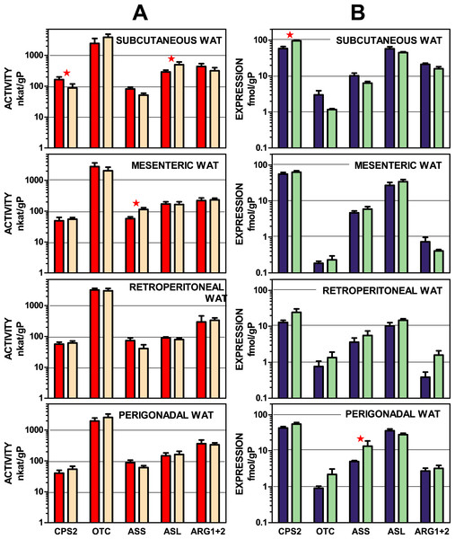 Urea cycle enzyme activities and expressions of their coding genes in four WAT sites of female and male rats.