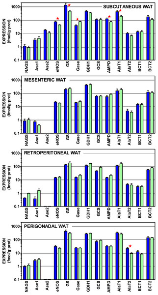 Expression of genes coding for enzymes of amino acid metabolism in WAT sites of male and female rats.