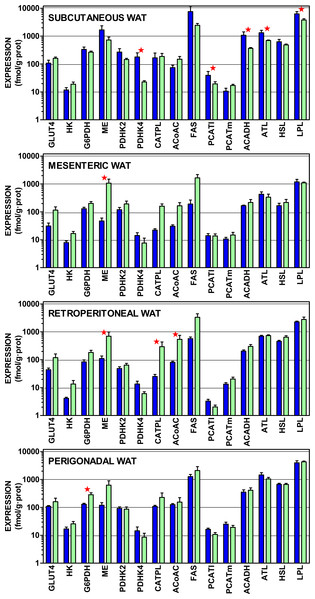 Expression of genes coding for transporter and enzymes related to lipogenesis from glucose and catabolism of lipid stores in WAT sites of male and female rats.