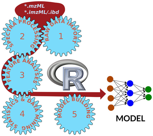 Universal workflow of mass spectrometry data analyses.