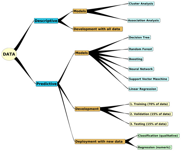 Building of descriptive and predictive models.