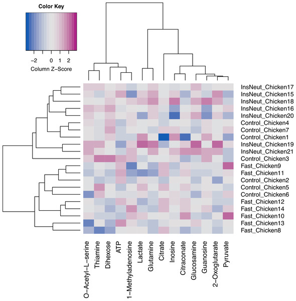 Hierarchical Cluster Analysis (HCA) of targeted metabolomics from chicken groups.