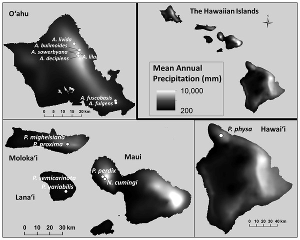 Mean annual precipitation (mm) at the sites where wild snails were originally collected for the tree-snail captive-rearing facility atthe University of Hawaiʻi at Mānoa.