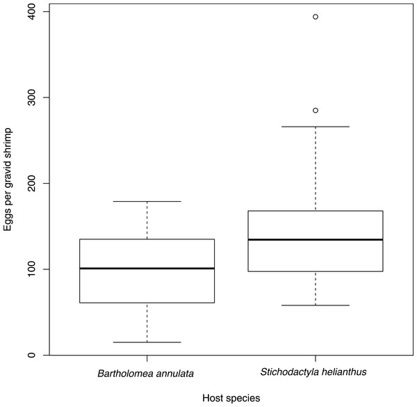 Number of eggs per gravid individual of Periclimenes yucatanicus found on each of two host sea anemone species.