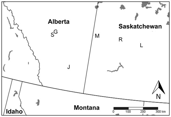 Map of study sites testing the Enemy Release Hypothesis in a native species with an expanding range.