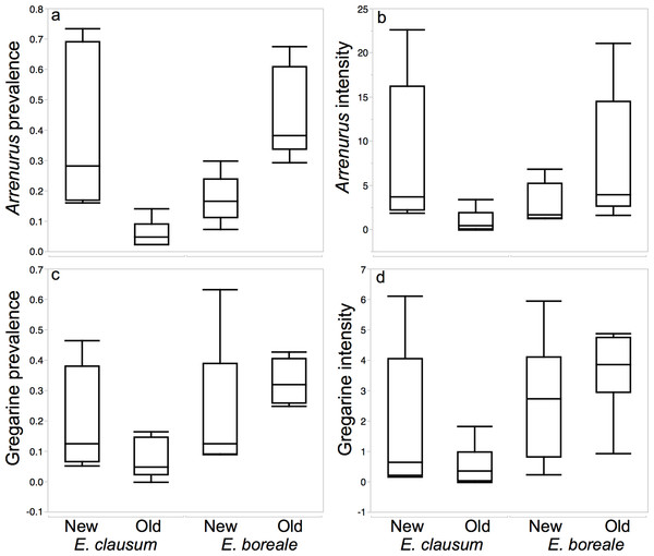 Boxplots demonstrating differences in measures of parasitism between host species and sites types while testing for the Enemy Release Hypothesis in a native damselfly species with an expanding range.
