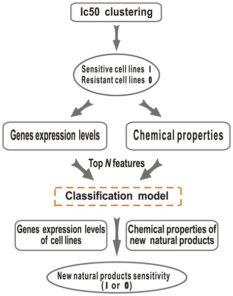 Natural products sensitivity prediction workflow.
