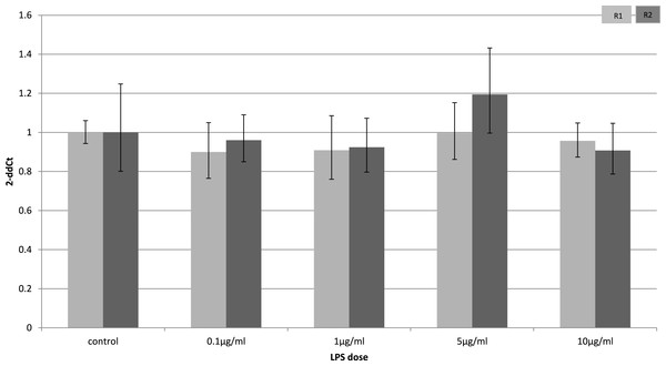 Adiponectin receptor gene expression in 3T3-L1 adipocytes 24 following LPS challenge.