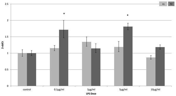 Adiponectin receptor expression in C2C12 myocytes 24 h following LPS challenge.